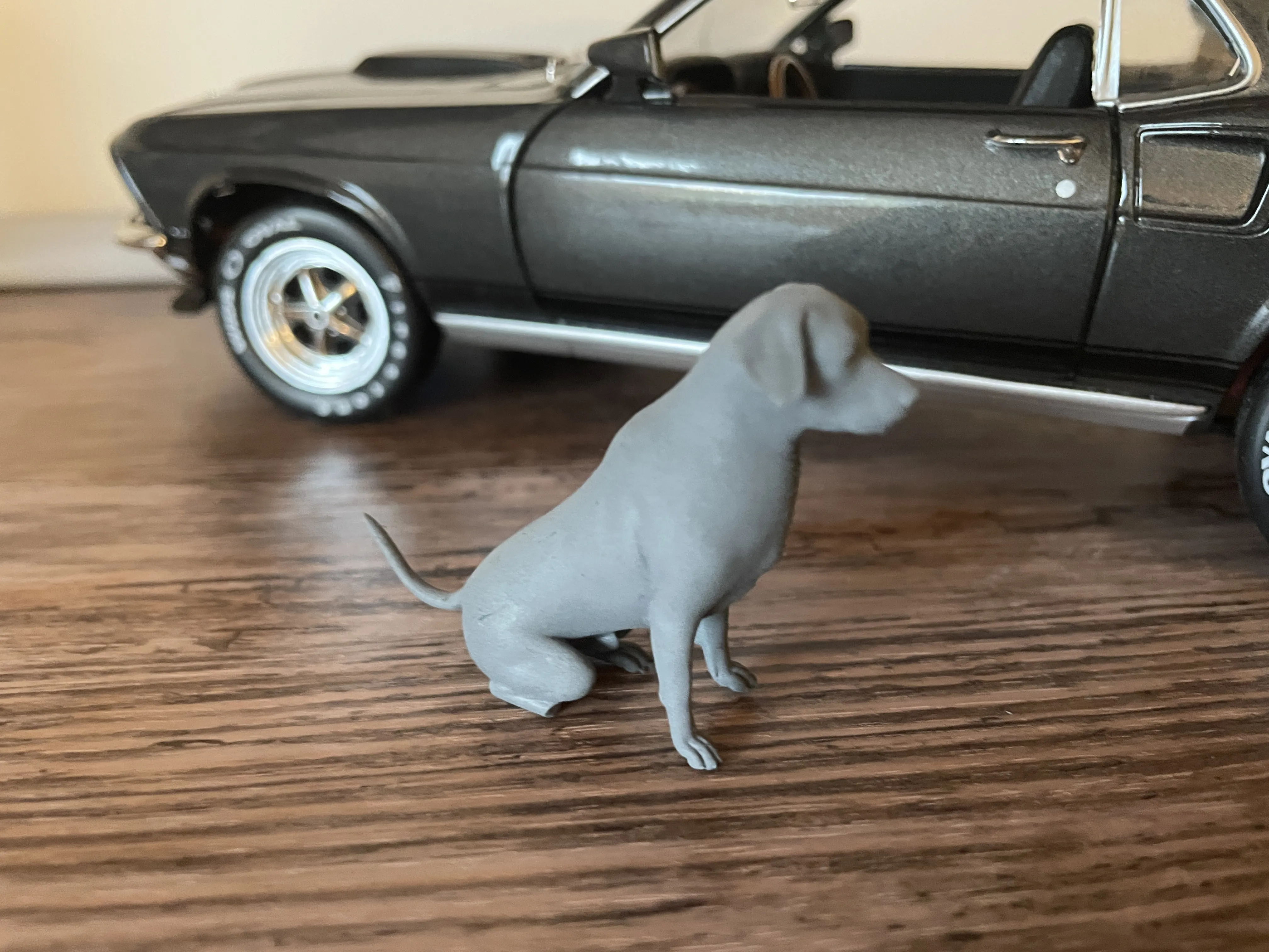 Chien Labrador 1