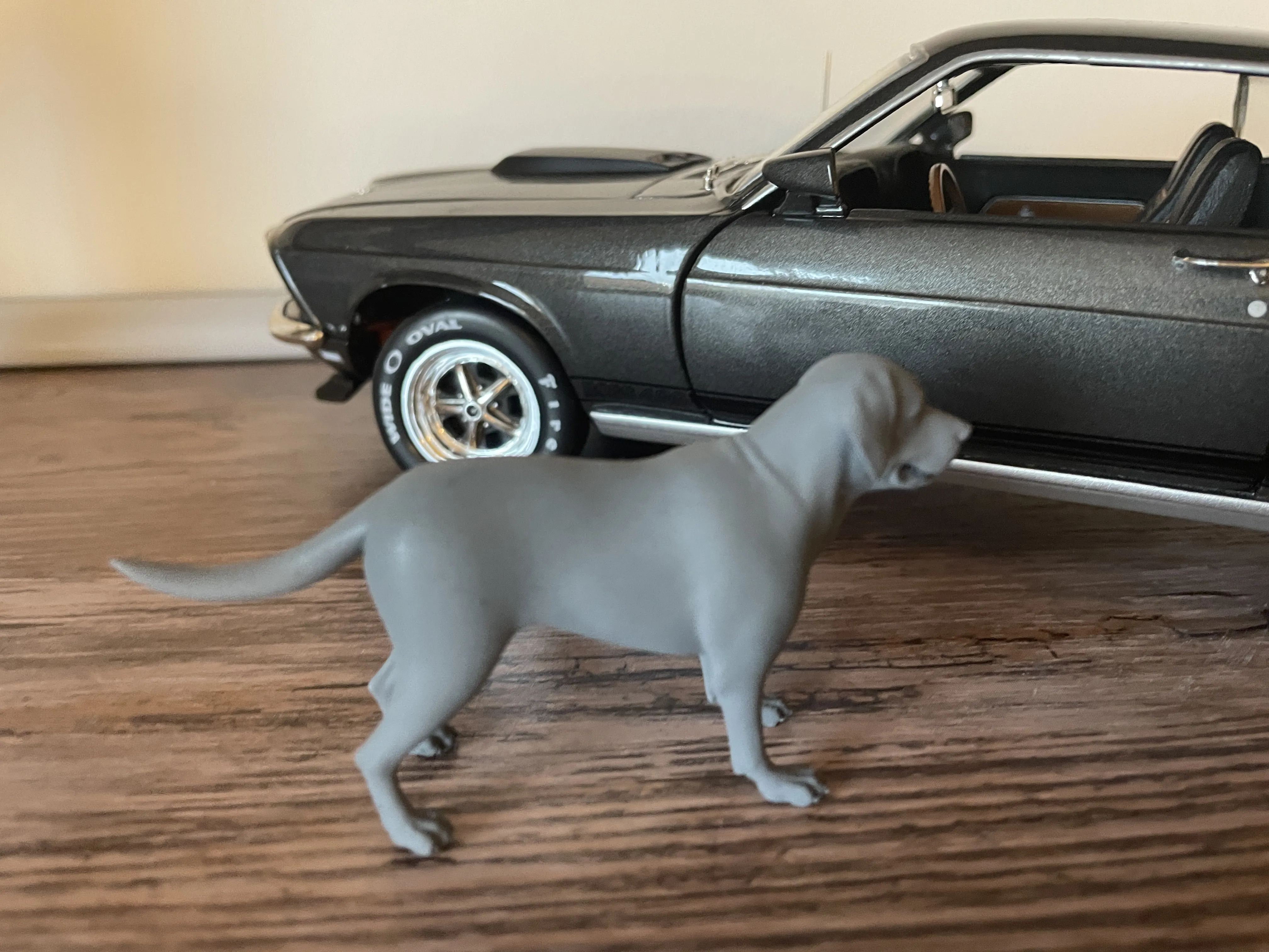 Chien Labrador 2