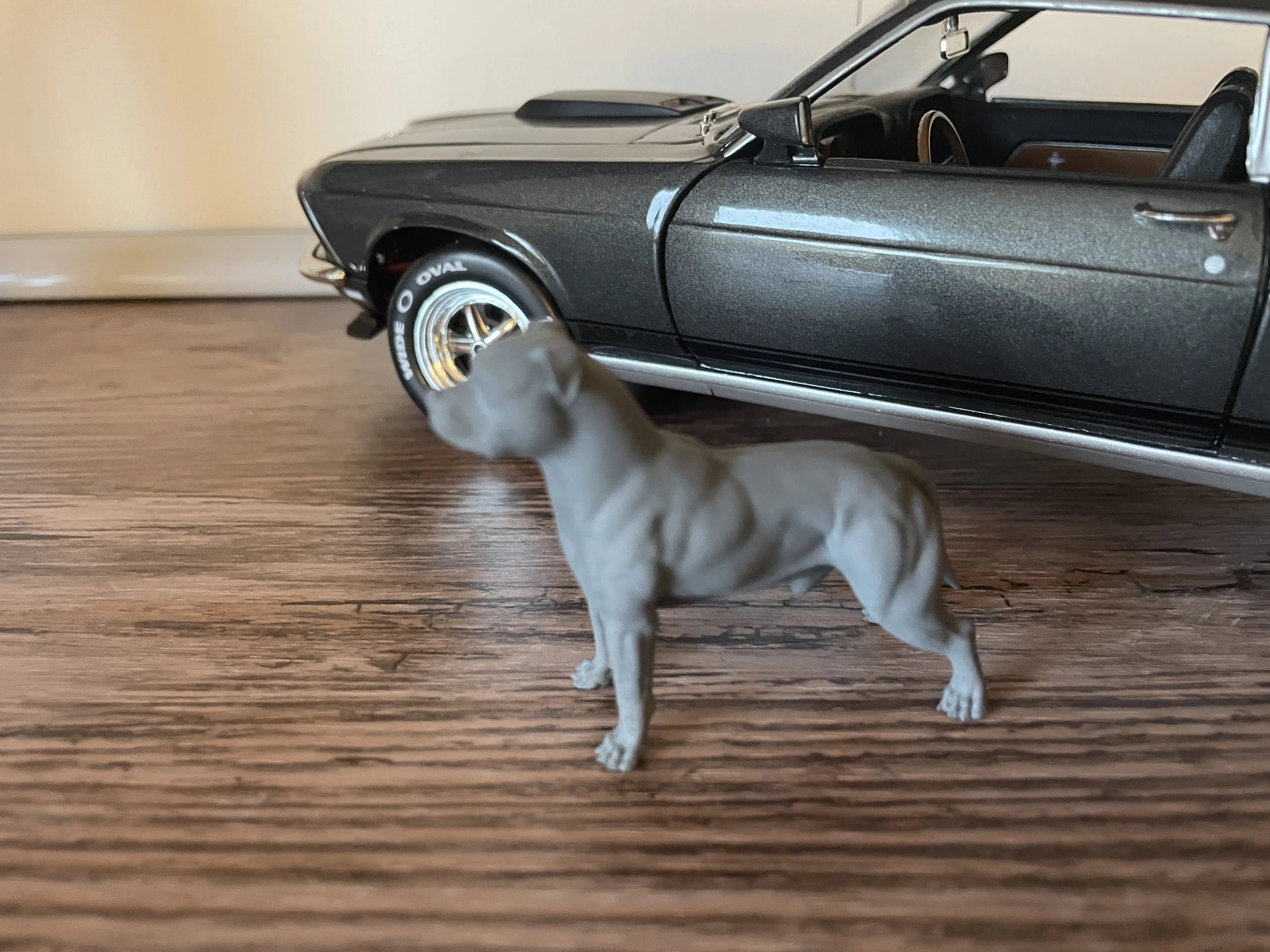Chien Pitbull 1